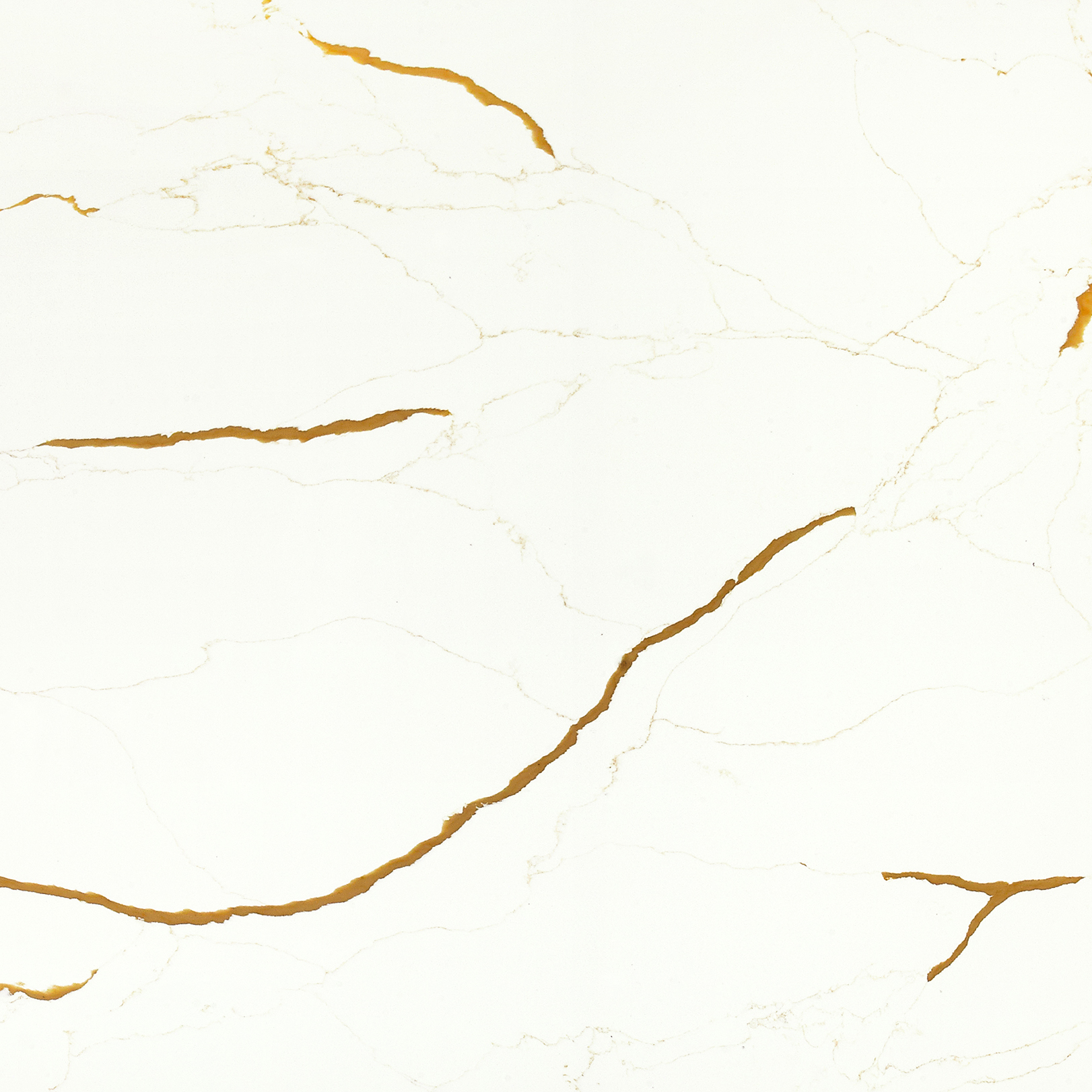 KA8911 SANTANA GOLD