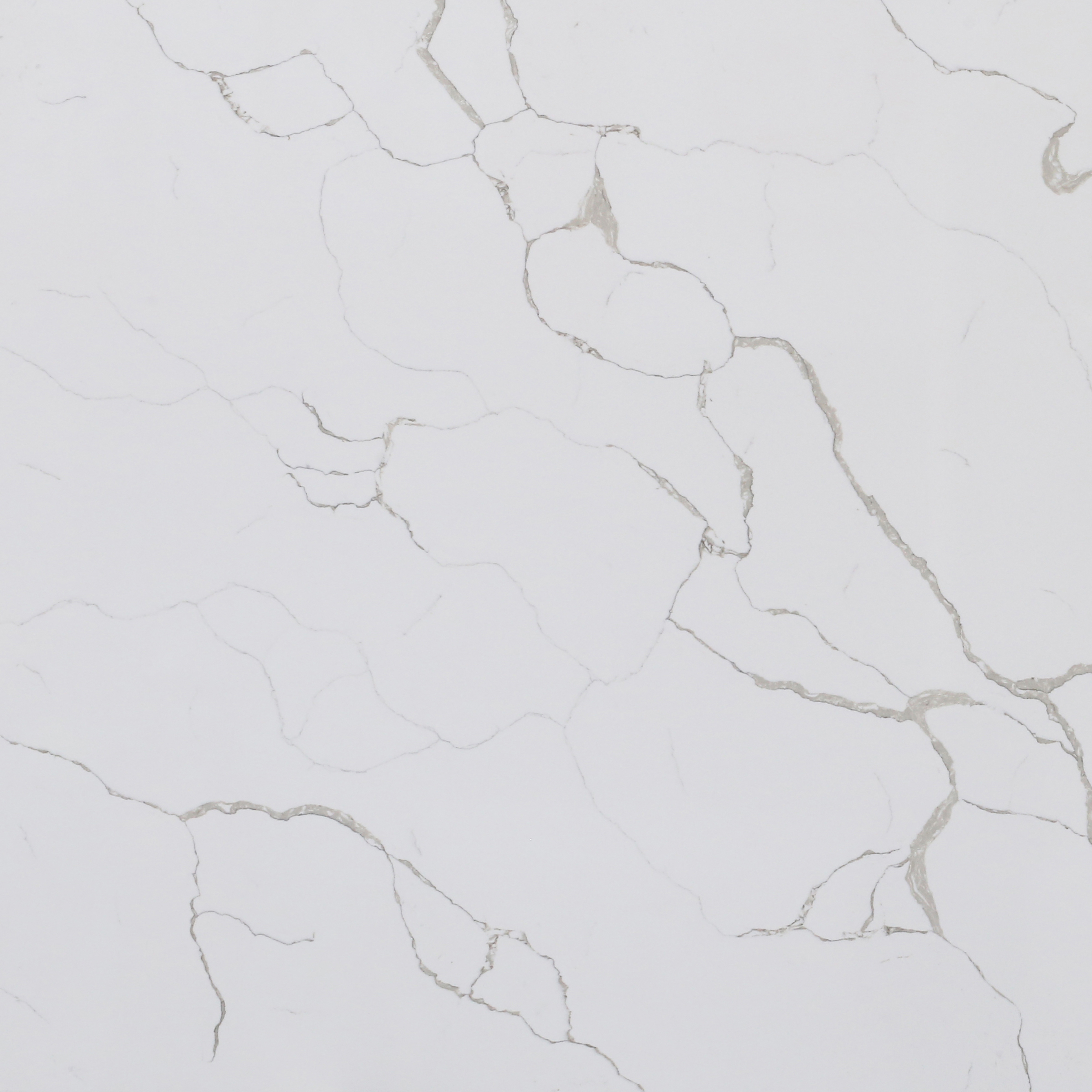 KA8914 VENATO GOLD