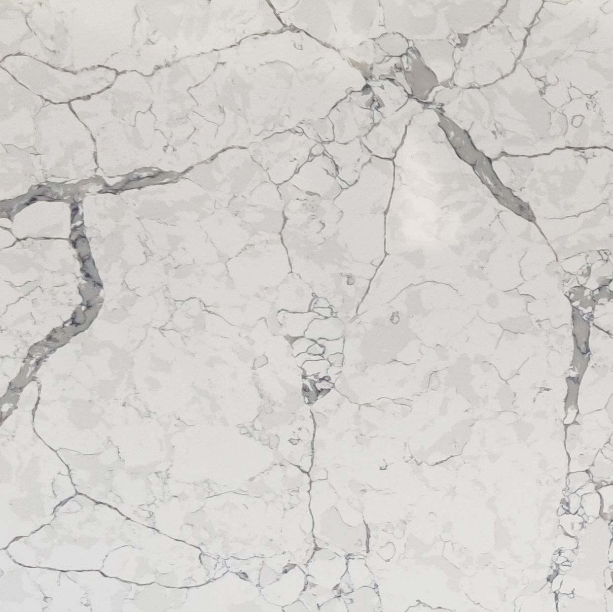 KA9878 CALACATTA COHINA