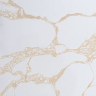 KA9706 VENETIAN GOLD SAMPLE